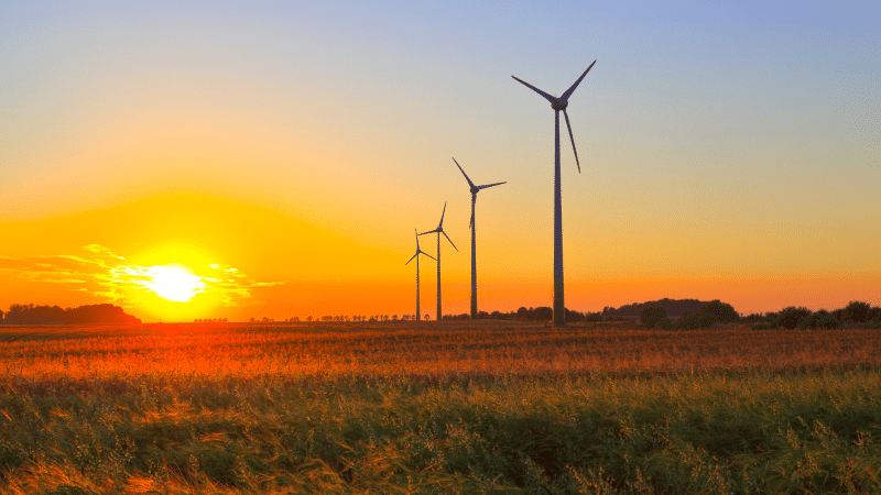 Wind farm with sunset