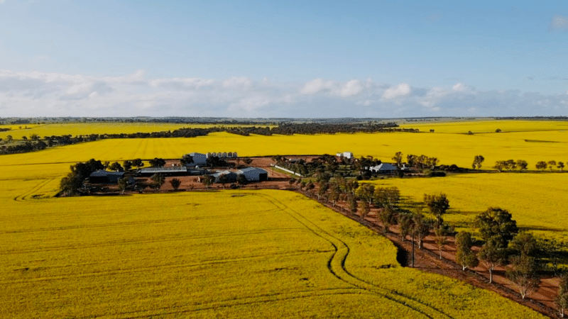 image shows a rural farm in Western Australia