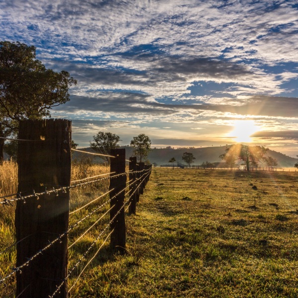 Image Shows: farming and agriculture, community