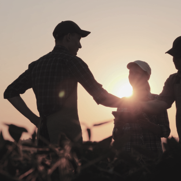 Image Shows: HHG Legal Group - farming and agribusiness