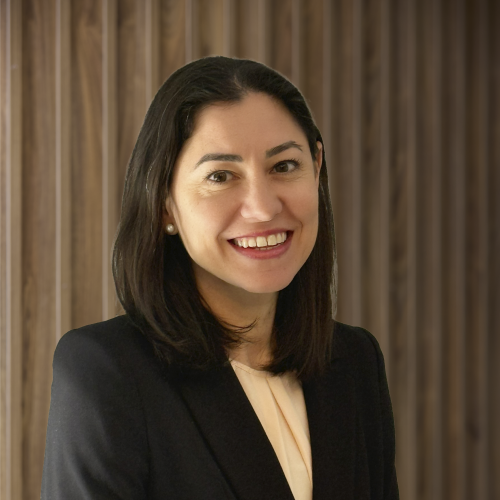 Image Shows: Dianne Caruso - Special Counsel - Staff