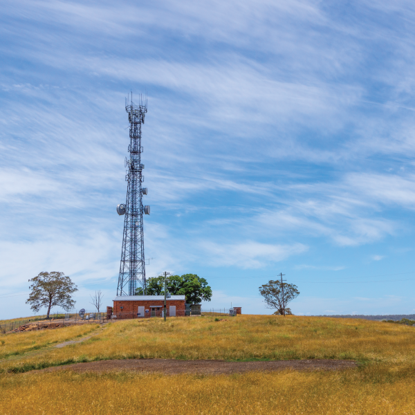 IMage showing Telecomms tower in country location with a couple of trees